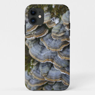 Étui pour téléphone Champignons des arbres, iPhone