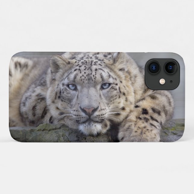 Étui Vishnu Snow Leopard pour iPhone 11 (Dos (Horizontal))