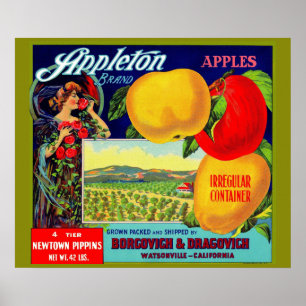 etwa 1900 Appleton-Äpfel-Kratetikett Poster