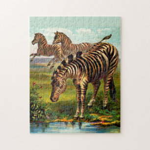 etwa 1900 Zebras-Druck