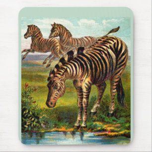 etwa 1900 Zebras-Druck Mousepad