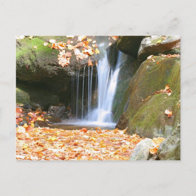 Etwas Anderes Postkarte (Vorderseite)