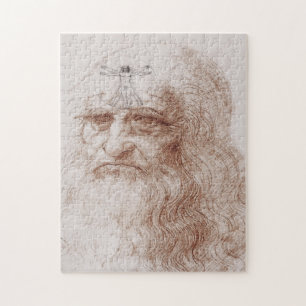 Etwas auf meinem Gemüt, Leonardo da Vincis Porträt