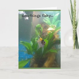 Etwas ist die "Fishy Angel Fish Grußkarte" Karte