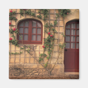 EU, Frankreich, Loiretal, Indre, et, Loire, Magnet