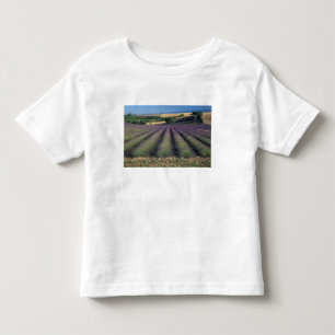 EU, Frankreich, Provence, Lavendelfelder 2 Kleinkind T-shirt