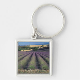 EU, Frankreich, Provence, Lavendelfelder 2 Schlüsselanhänger