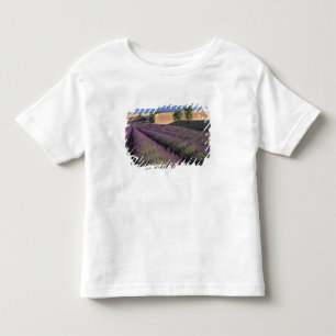 EU, Frankreich, Provence, Lavendelfelder 3 Kleinkind T-shirt