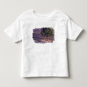 EU, Frankreich, Provence, Lavendelfelder Kleinkind T-shirt