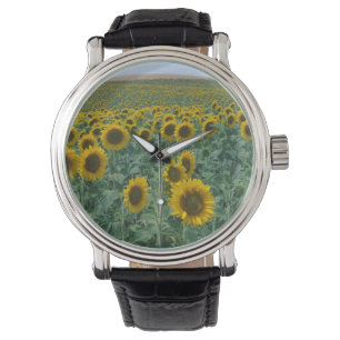 EU, Frankreich, Provence, Sonnenblumenfeld Armbanduhr