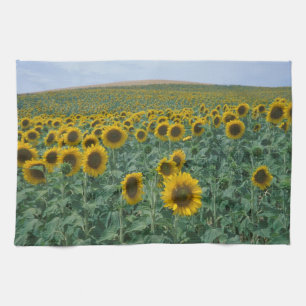 EU, Frankreich, Provence, Sonnenblumenfeld Handtuch
