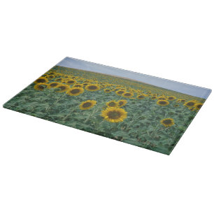 EU, Frankreich, Provence, Sonnenblumenfeld Schneidebrett
