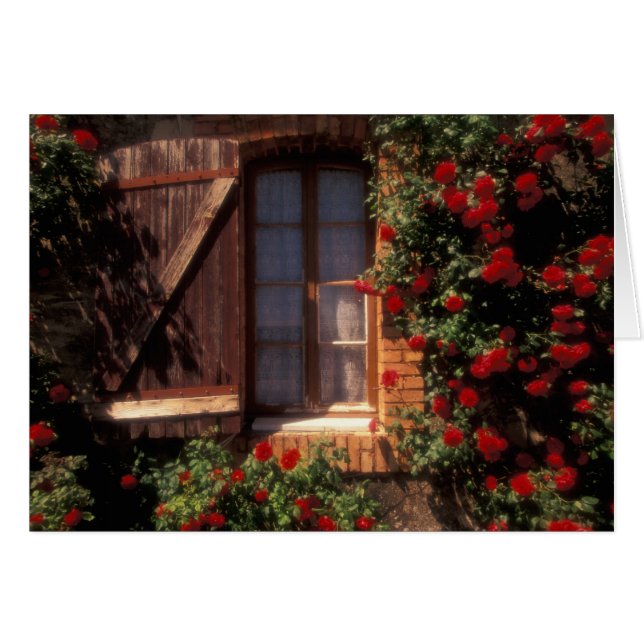 EU, Frankreich, Provence, Vaucluse, Apt. Haus (Vorderseite (Horizontal))