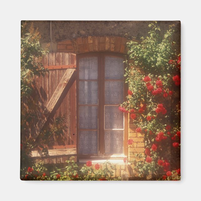 EU, Frankreich, Provence, Vaucluse, Apt. Haus 2 Magnet (Vorne)