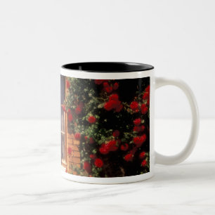 EU, Frankreich, Provence, Vaucluse, Apt. Haus Zweifarbige Tasse