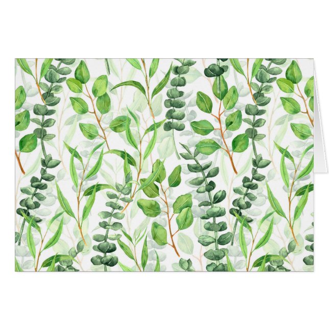 Eucalyptus (Devant horizontal)