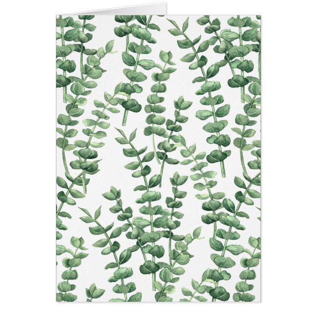 Eucalyptus 1 (Devant)