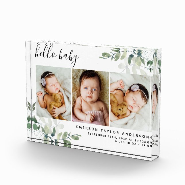 Eucalyptus 3 Foto Baby Birth Stats (Rechts)