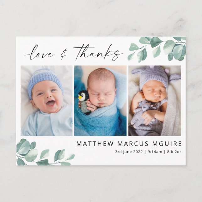 Eucalyptus baby danke Karte, Drehbuch danke Postkarte (Vorderseite)