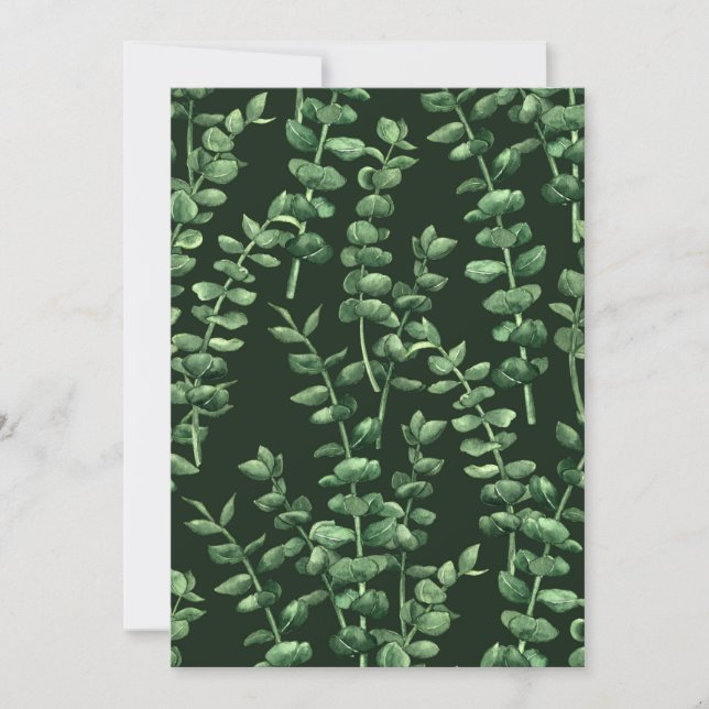 Eukalyptus 2 (Vorderseite)