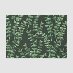 Eukalyptus 2 seidenpapier