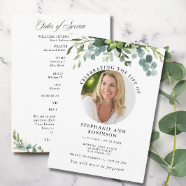 Eukalyptus-Beerdigungsorden des Fotos Programm