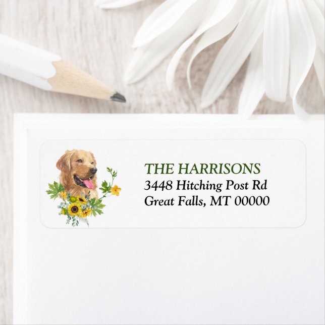 Eukalyptus Golden Retriever Dog (Insitu)