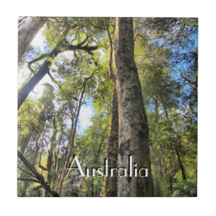 Eukalyptus Gum Trees Fliese