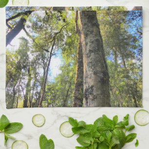 Eukalyptus Gum Trees Küchentuch