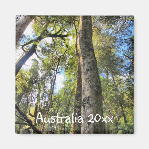 Eukalyptus Gum Trees Magnet