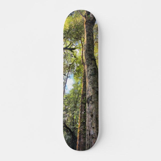 Eukalyptus Gum Trees Skateboard (Vorne)