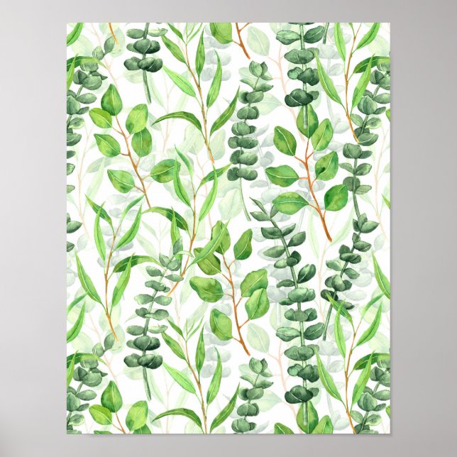 Eukalyptus Poster (Vorne)