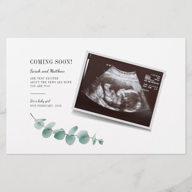 Eukalyptus Pregnancy Baby Reveal Briefpapier (Vorderseite)