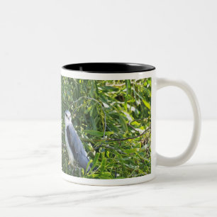 Eule, die auf einem Baum hockt Zweifarbige Tasse