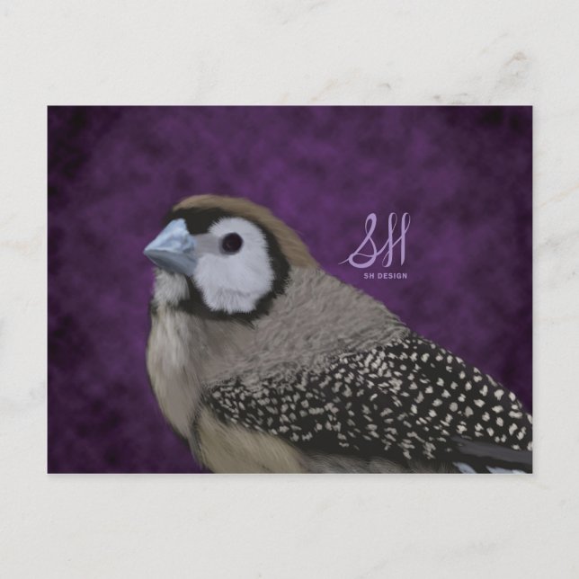 Eule Finch Postkarte (Vorderseite)