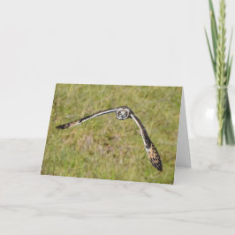 Eule fliegt dich an karte