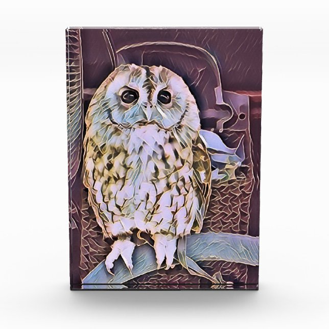 EULE FOTOBLOCK (Vorderseite)