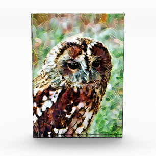 EULE FOTOBLOCK