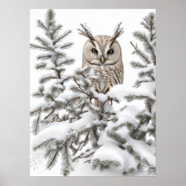 Eule im Schnee Poster