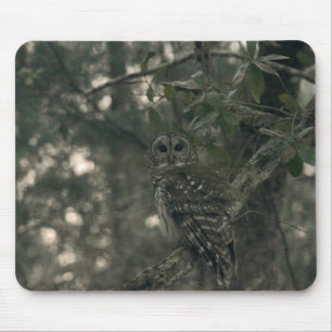 Eule im Wald Mousepad