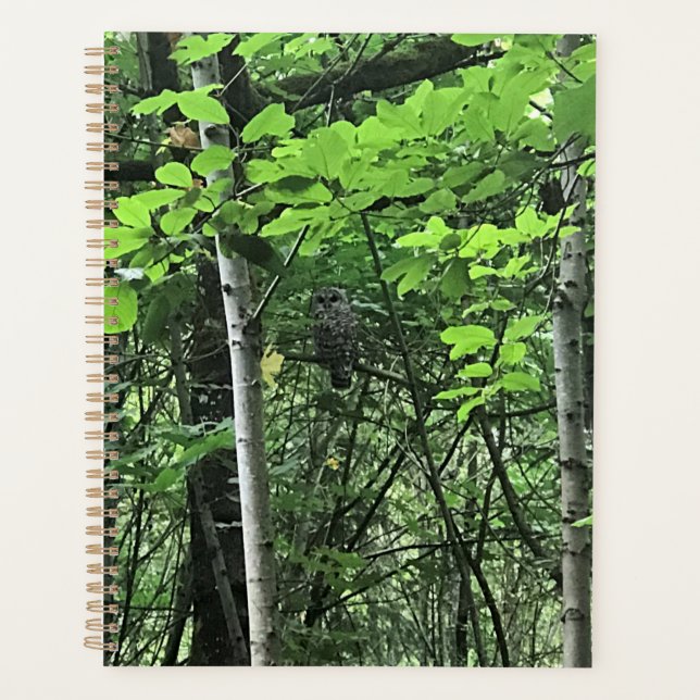 Eule in den Bäumen, Oregon Planer (Vorderseite)
