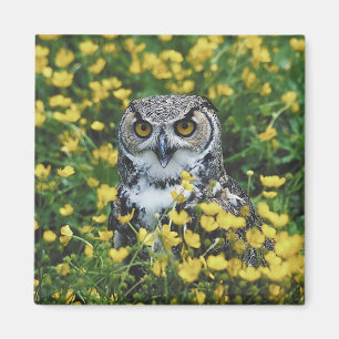 Eule in den Butterblumeen Magnet