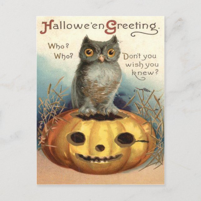 Eule Jack O Lantern Kürbis Postkarte (Vorderseite)