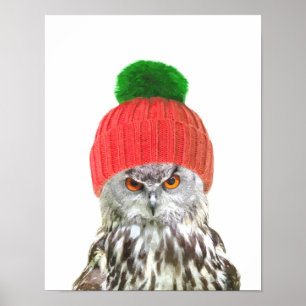 Eule mit Mütze lustiges Tierporträt Poster