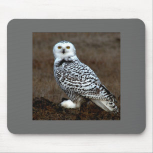 Eule Mousepad