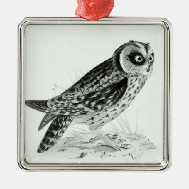 Eule Ornament Aus Metall (Vorne)