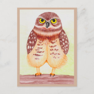 Eule Postarmut Postkarte