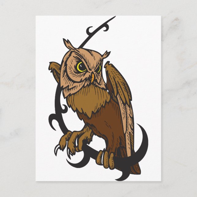 Eule Postkarte (Vorderseite)
