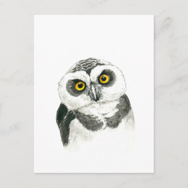 Eule Postkarte (Vorderseite)