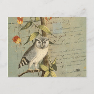 Eule Postkarte